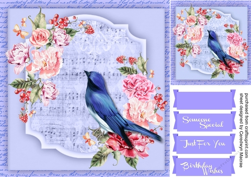 Flycatcher  in the Blossom