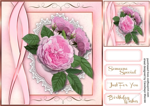 Lovely Pink  Roses 5