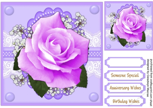 Beautiful Lilac roses 