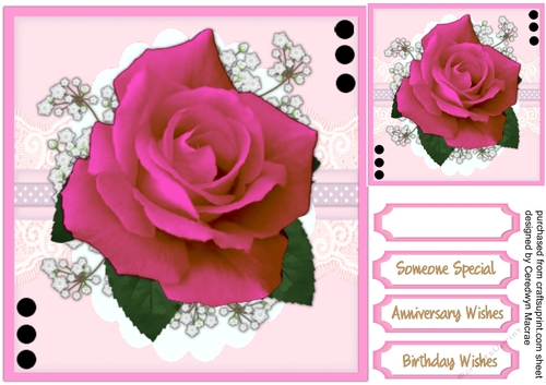 Beautiful Maroon  roses 