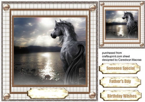 Horse at the Water