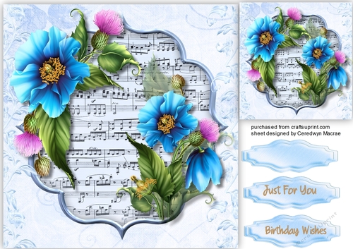 Beautiful pink Himalayan Poppiess  on Sheet Music 