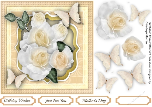 Soft Cream Roses and Butterflys 