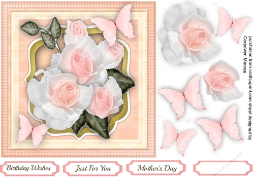 Soft Pink Roses and Butterflys 
