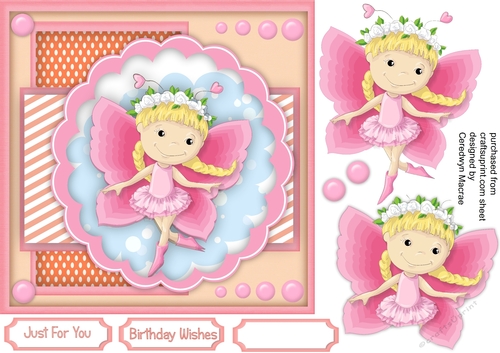 Beautiful Fairy Butterfly