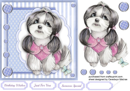 Adorable Pooch in Pigtails