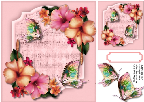 Beautiful Butterflys and Hibiscus 