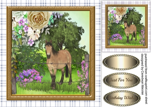 Beautiful Horse at the Fence