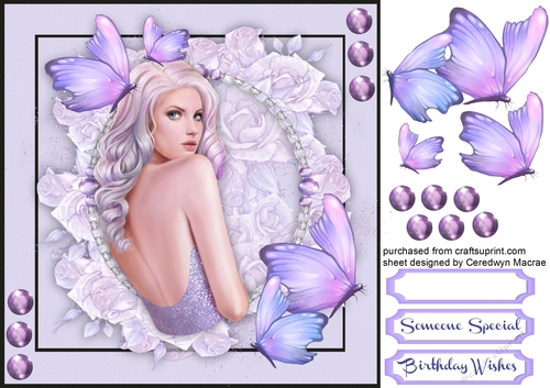 Beautiful Lady Butterfly 