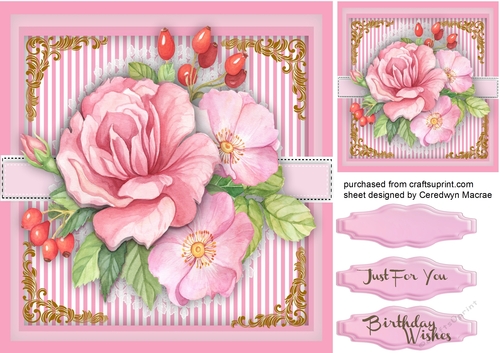 Beautiful Pink Wild Roses 