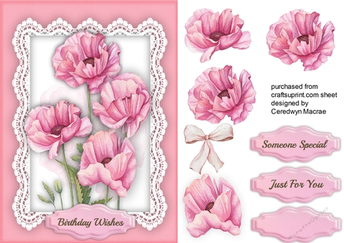 Pink Poppys on Lace 