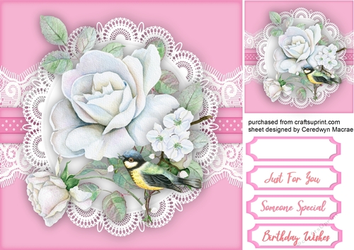 White Roses on lace 