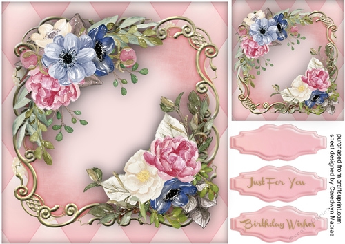 Shades of pink roses