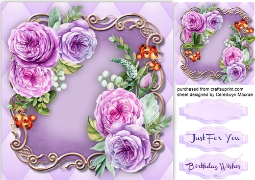Shades of Lilac Roses
