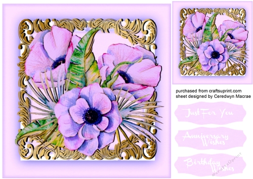 Beautiful Lilac Anemones 
