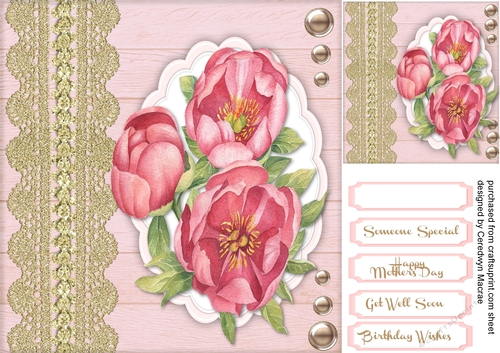 Beautiful Pink Flowers  and Golden Lace 