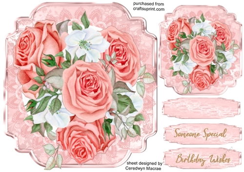 pink Roses on Ornate Mat 