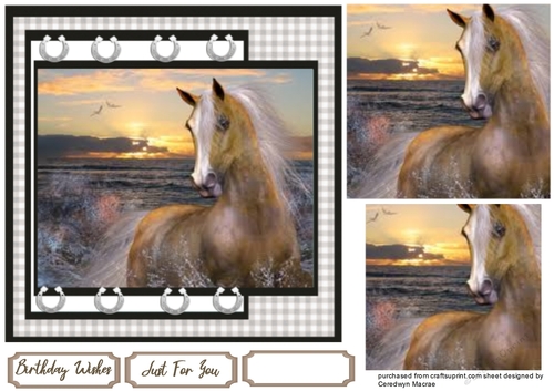 Beautiful Horse in the Sunset 