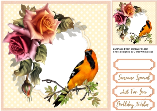 Beautiful Bird on a branch 