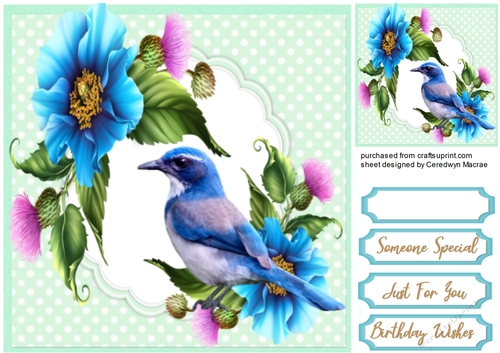Blue Bird and Poppies