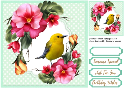 Yellow Tit And Pansys