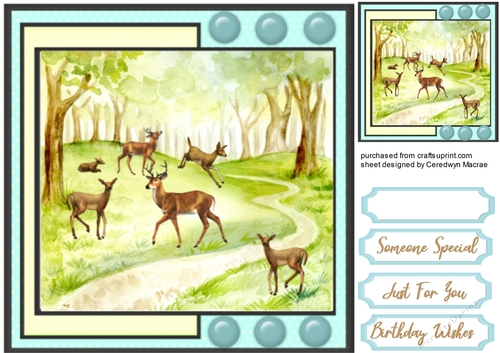 Playfull Deers in the Forest 
