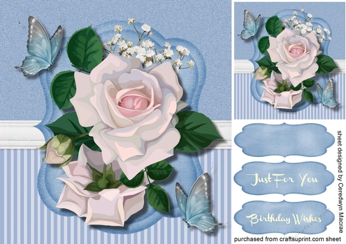 White  Roses and   Butterflys 