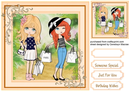 Shopping Girls  4