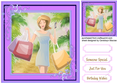 Shopping Girl  5
