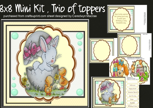 8x8 mini kit , Trio of toppers 