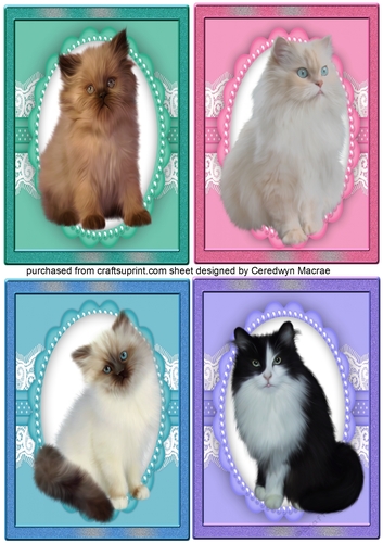 4 lovely Scalloped Cat Toppers