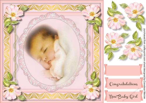 A New Bundle of Joy ( Girl )