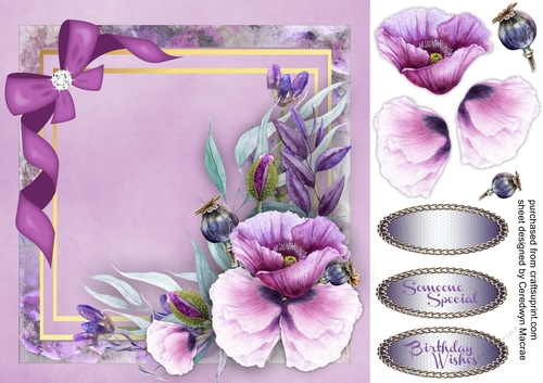 Beautiful Violetta Poppys 