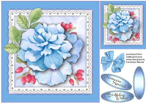 Beautiful  Blue French roses and berrys 