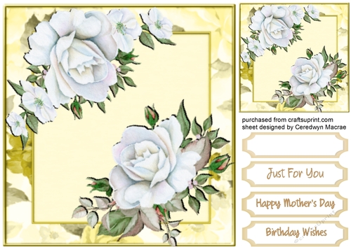 Beautiful  Cream   Dreams   