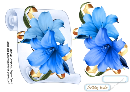 Blue Lillys on a scroll mat 