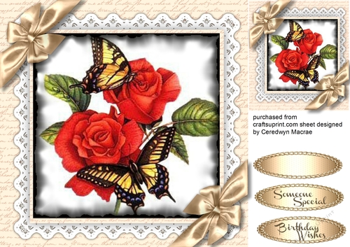Beautiful Butterflys and Roses 7