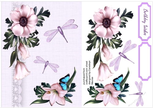 Dragonflys and Roses 