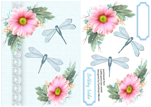 Dragonflys and Roses 