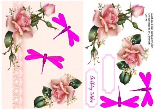 Dragonflys and  pink roses