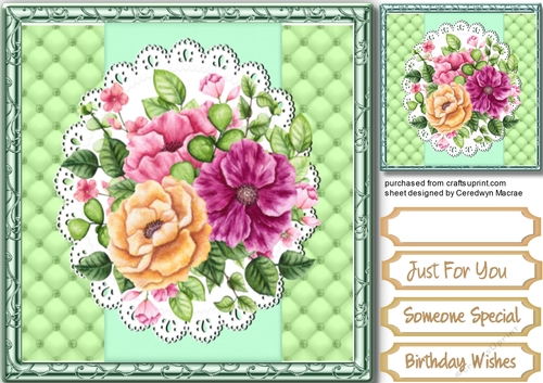 Crean abd Cerise Roses on lace 