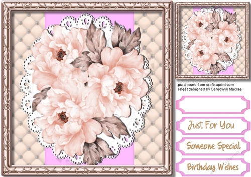 Pink Peony  Roses on lace 