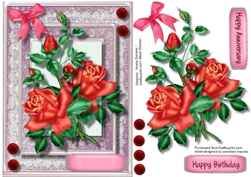 Deep Cerise  Roses 