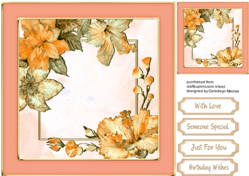 Beautiful Cream and Yellow Hibiscus flowers  