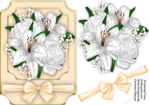 Beautiful White Beauty  