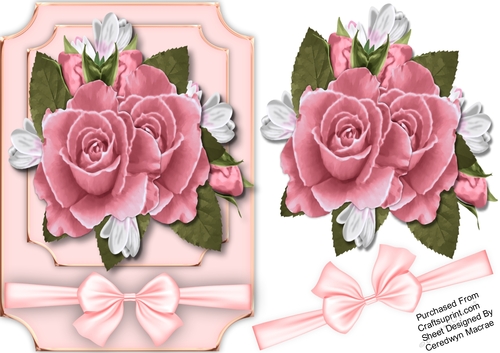 Beautiful Pik Roses