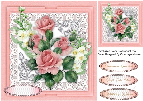 Beautiful Pink Roses and Jasmine 