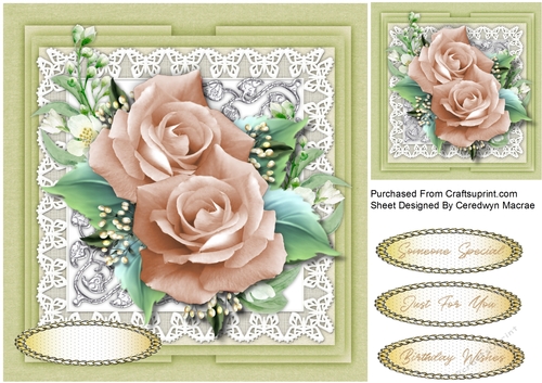 Cream  Roses , Jasmine and Babys Breath