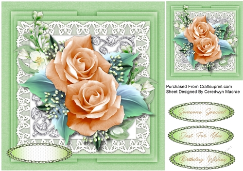Cream  Roses , Jasmine and Babys Breath