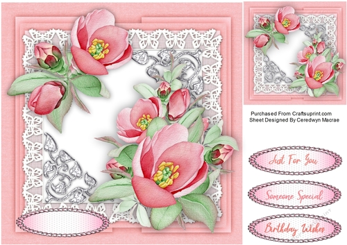 Beautiful Pink Roses and Butterfly Lace 